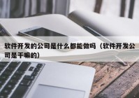 软件开发的公司是什么都能做吗（软件开发公司是干嘛的）