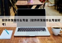 软件开发报什么专业（软件开发报什么专业好考）