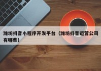 潍坊抖音小程序开发平台（潍坊抖音运营公司有哪些）