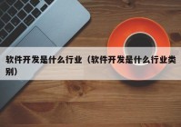 软件开发是什么行业（软件开发是什么行业类别）