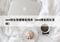 seo优化快速排名技术（seo排名优化怎样）