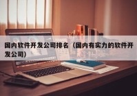 国内软件开发公司排名（国内有实力的软件开发公司）