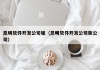 昆明软件开发公司哪（昆明软件开发公司新公司）