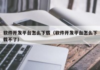 软件开发平台怎么下载（软件开发平台怎么下载不了）