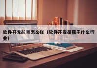 软件开发前景怎么样（软件开发是属于什么行业）