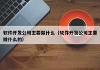 软件开发公司主要做什么（软件开发公司主要做什么的）