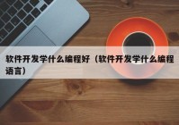 软件开发学什么编程好（软件开发学什么编程语言）