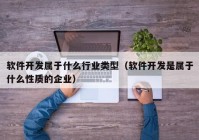 软件开发属于什么行业类型（软件开发是属于什么性质的企业）